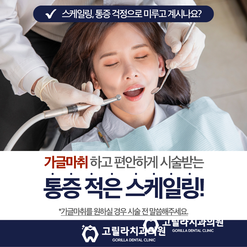 고릴라치과의 특별한 스케일링