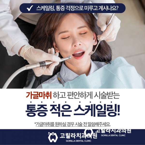 고릴라치과의 특별한 스케일링 이미지 2